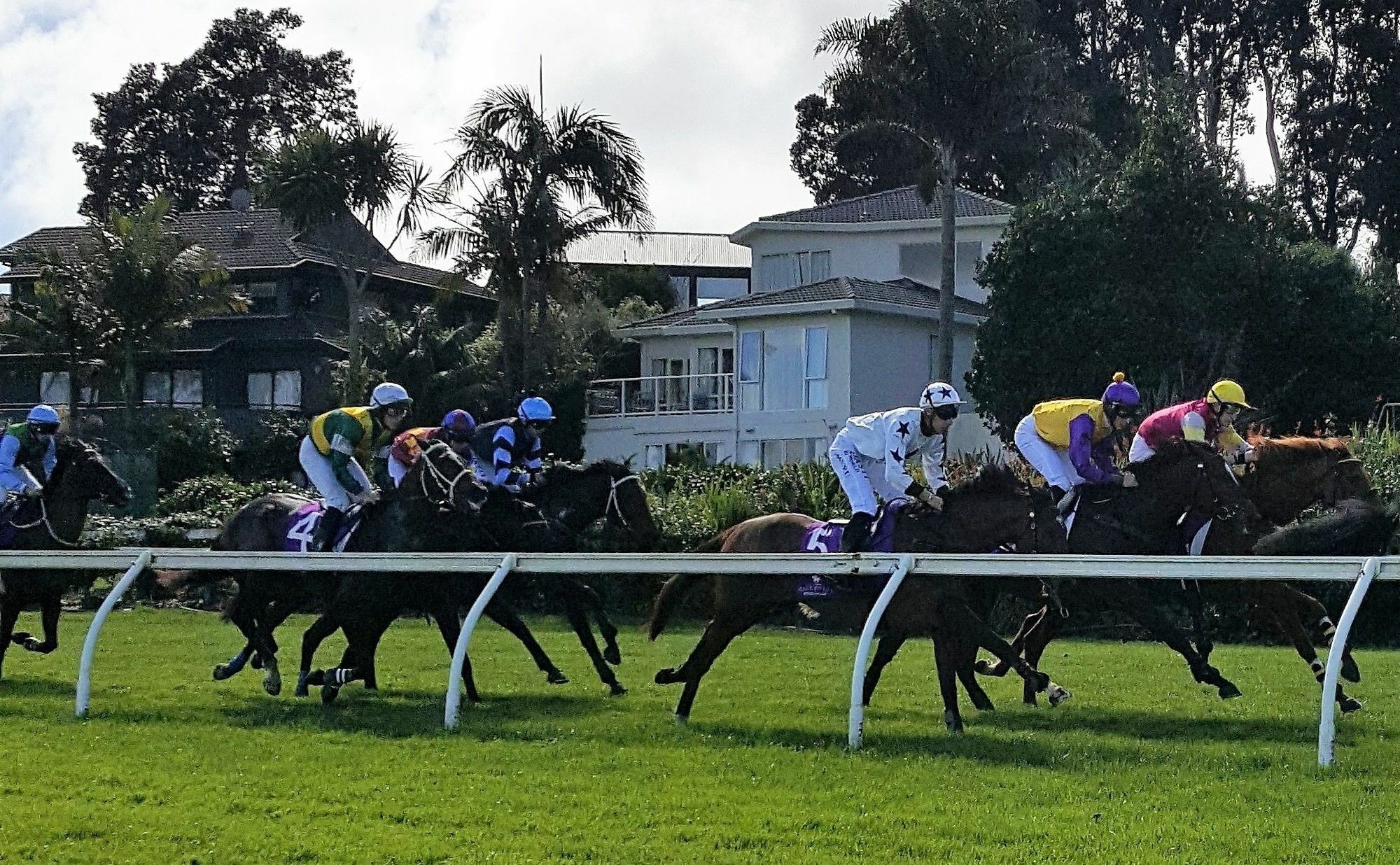 Racecourse Deluxe Lägenhet Auckland Exteriör bild